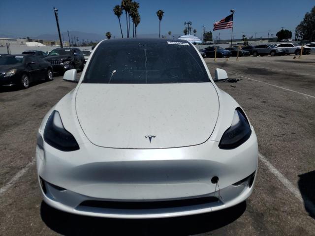 2023 TESLA MODEL Y 7SAYGDEE3PF622777