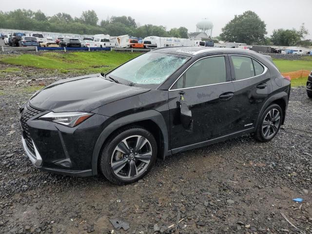 LEXUS UX 250H