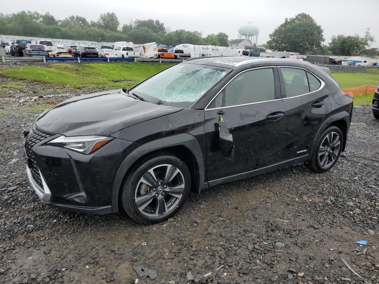LEXUS UX 250H