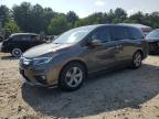 2019 HONDA ODYSSEY EX - 5FNRL6H79KB078042
