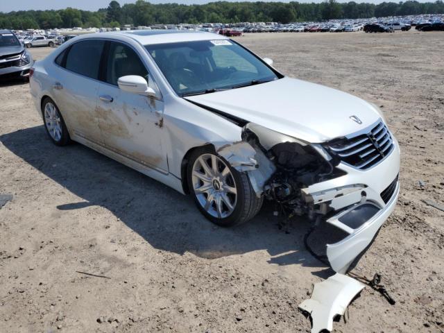 2013 HYUNDAI EQUUS SIGN - KMHGH4JH6DU059194