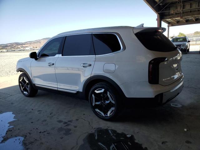 2024 KIA TELLURIDE 5XYP34GCXRG536636