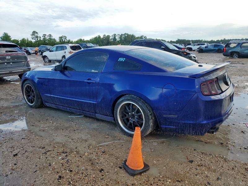 Vin: 1zvbp8cf1d5244913, lot: 59531195, ford mustang gt 20132
