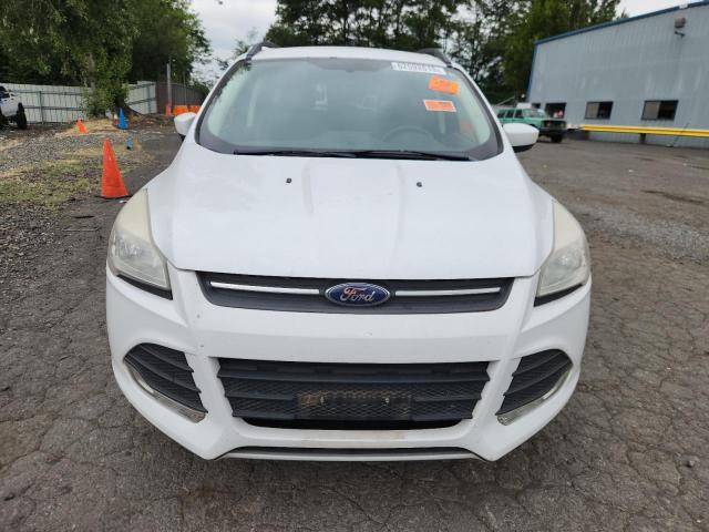 2016 FORD ESCAPE SE - 1FMCU9GX3GUC29683