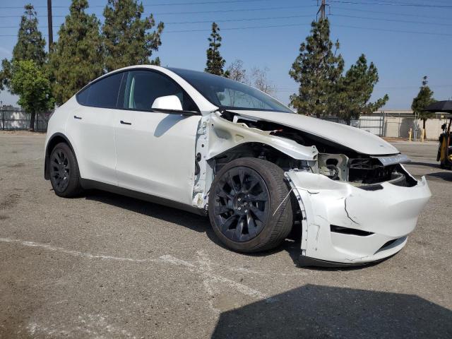 2024 TESLA MODEL Y 7SAYGDEE1RF124922