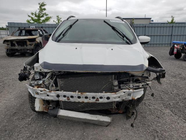 2014 FORD ESCAPE SE - 1FMCU0G96EUC61831