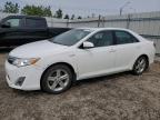 Top Destinations for Shipping Cars from the USA