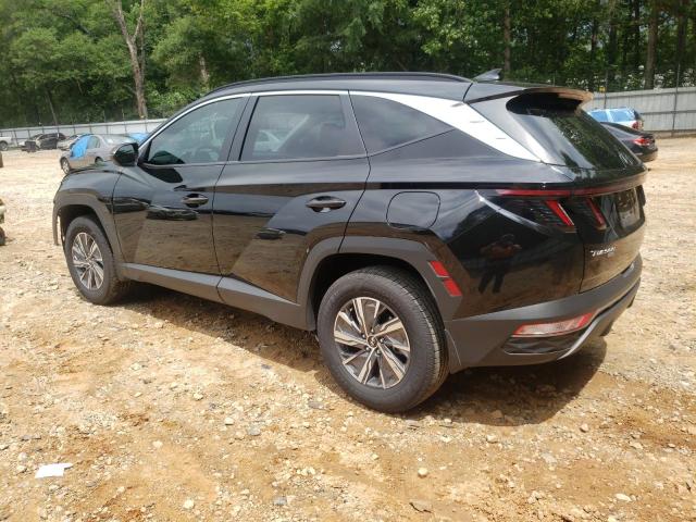 2023 HYUNDAI TUCSON BLU KM8JBCA1XPU123505