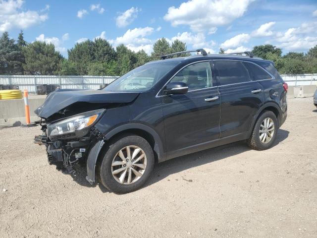 Vin: 5xypg4a32gg053037, lot: 61741245, kia sorento lx 2016 img_1
