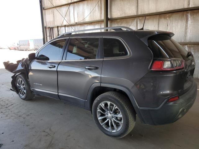 2019 JEEP CHEROKEE L 1C4PJLLBXKD466203