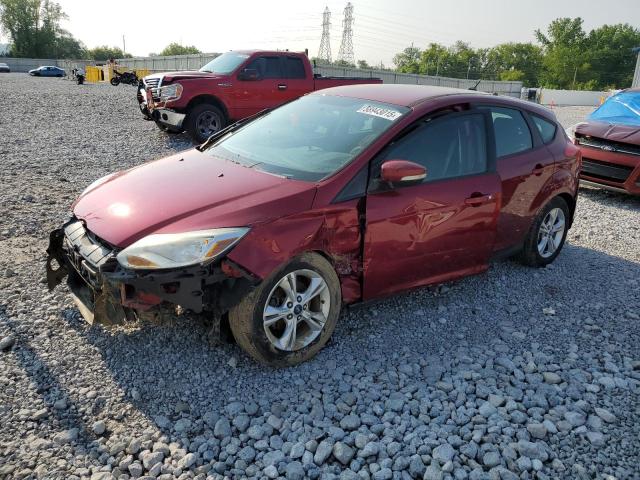 Vin: 1fadp3k25dl260028, lot: 58943015, ford focus se 2013 img_1