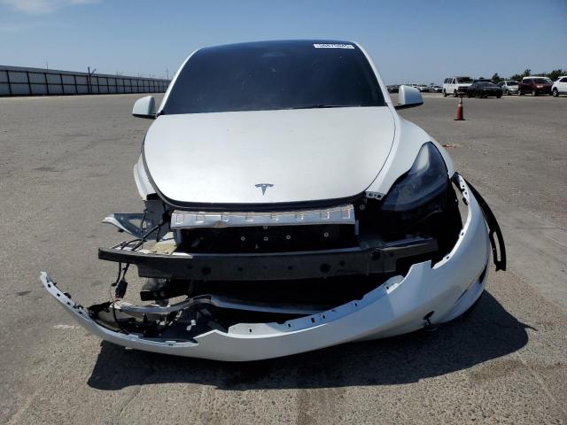 2023 TESLA MODEL Y 7SAYGDEF8PF743619