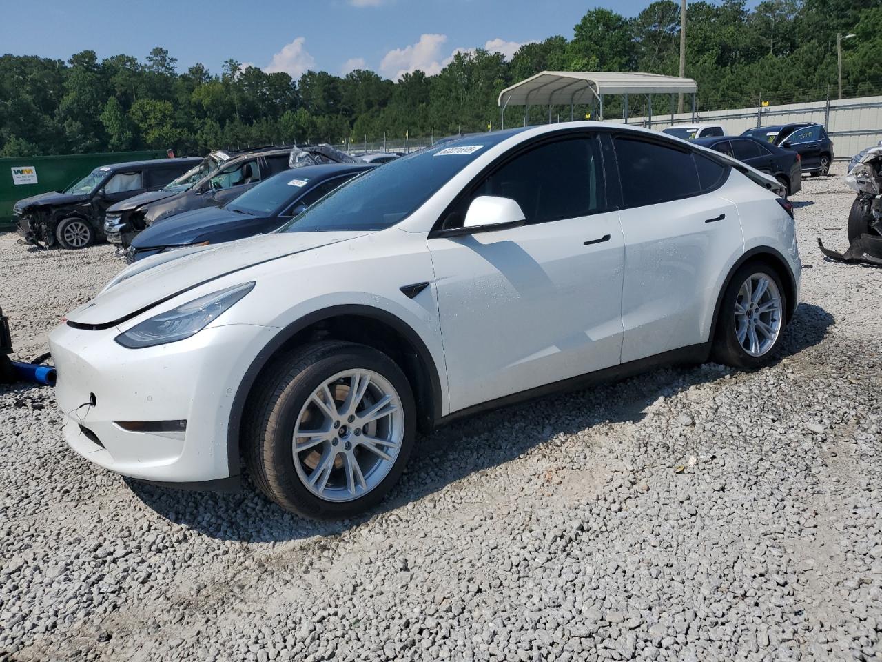 TESLA MODEL Y