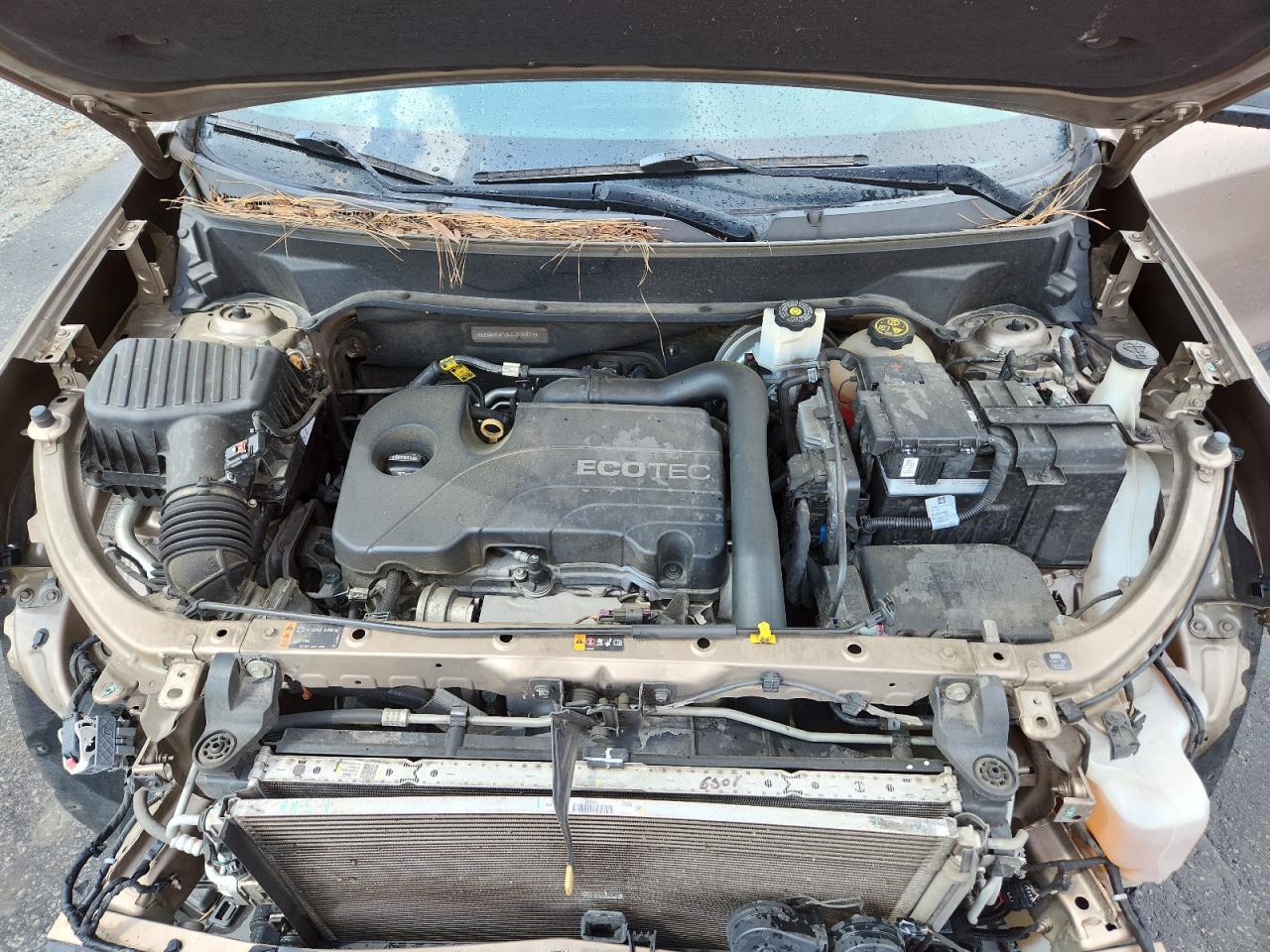 Chevrolet Equinox ls 2018