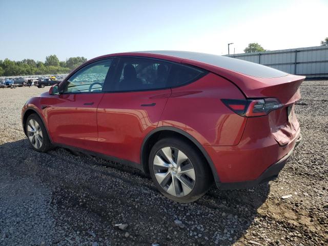 2020 TESLA MODEL Y 5YJYGDEE7LF047784