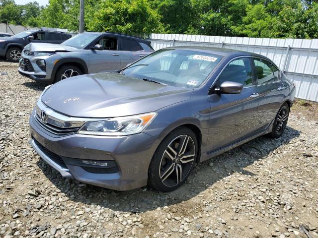 HONDA ACCORD SPO