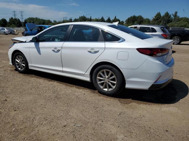 2019 HYUNDAI SONATA SE - 5NPE24AF2KH732663