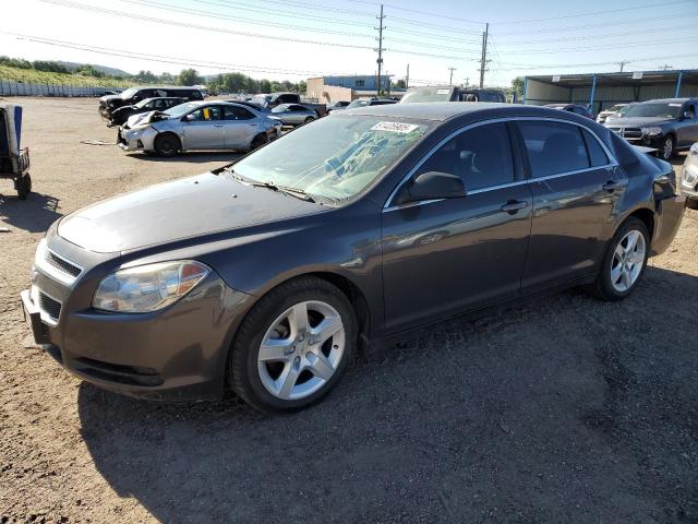 CHEVROLET MALIBU LS