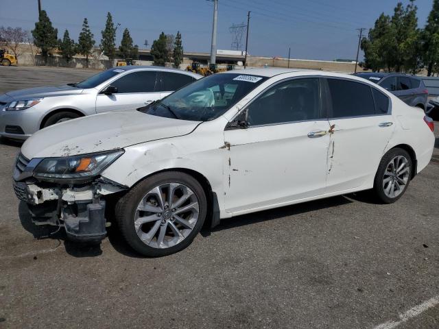 HONDA ACCORD SPO