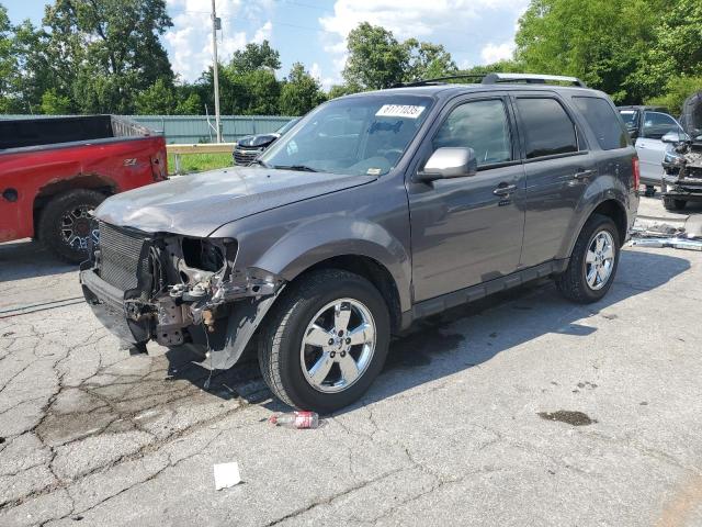 Vin: 1fmcu0eg6akd00764, lot: 61771035, ford escape limited 2010 img_1
