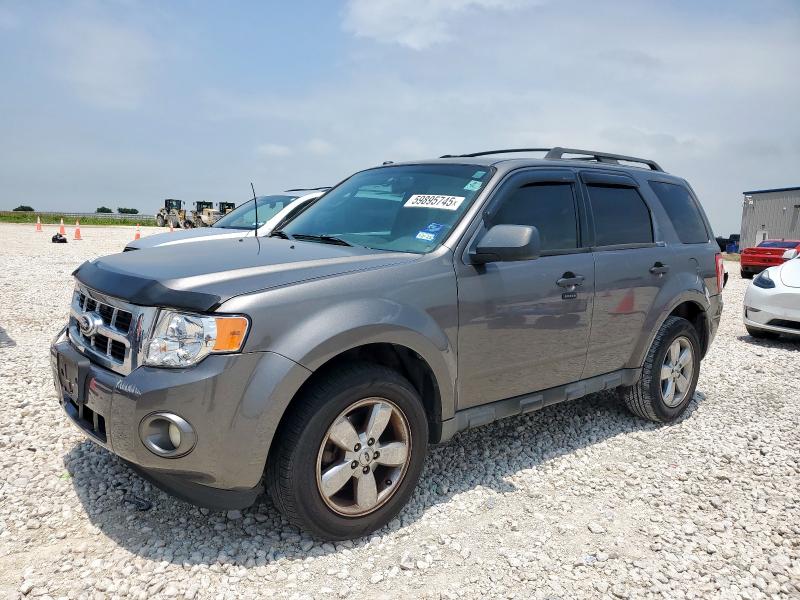 Vin: 1fmcu0d72akd32645, lot: 59895745, ford escape xlt 2010 img_1