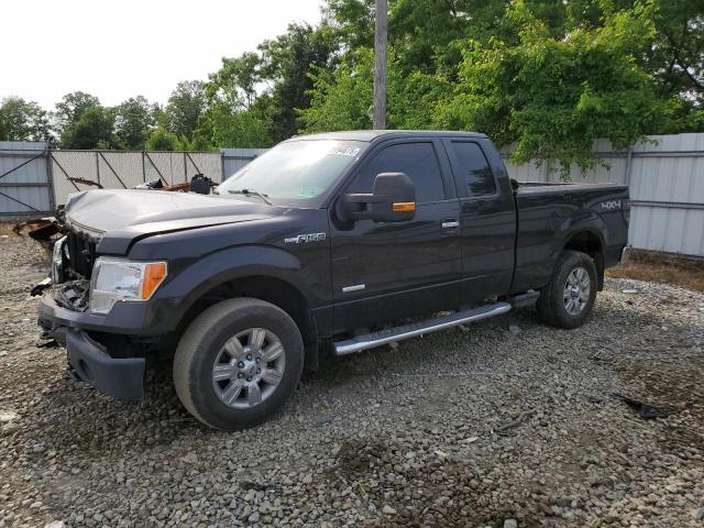 Vin: 1ftfx1etxcfb31906, lot: 60194875, ford f-150 super cab 2012 img_1