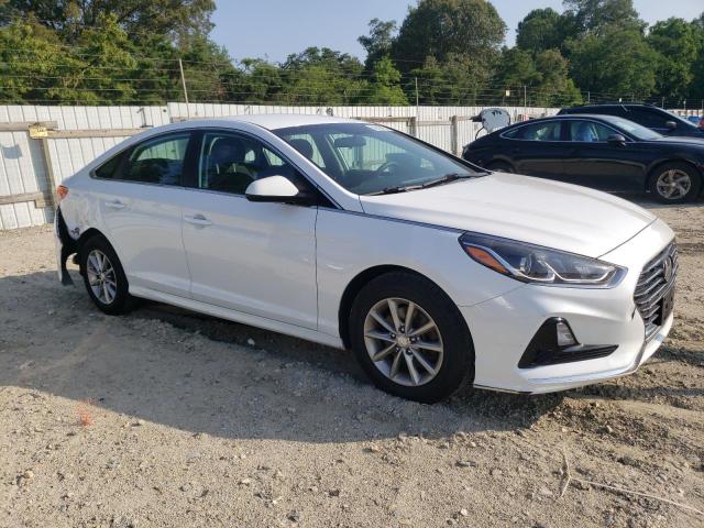 2019 HYUNDAI SONATA SE - 5NPE24AF1KH786228