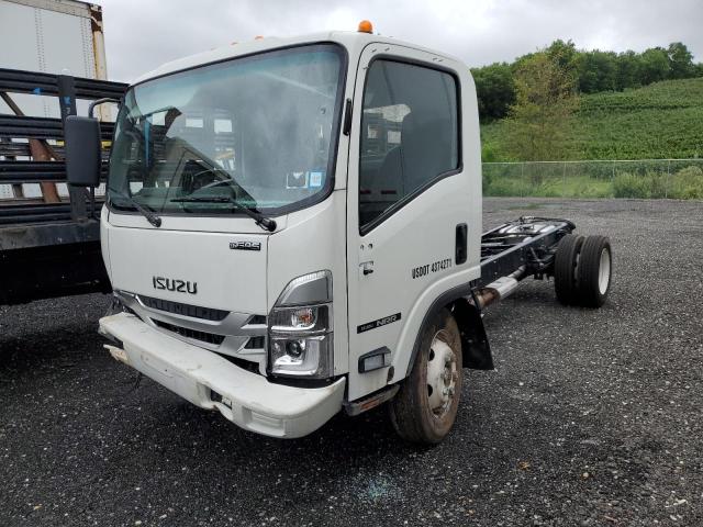 ISUZU NRR 2025 white  convertible to gaseous powered 54DE5W1D5SSR01170 photo #3