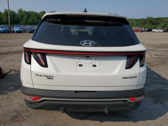 2022 HYUNDAI TUCSON BLU KM8JBCA12NU040664