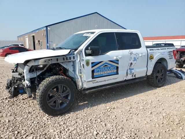 2023 FORD F150 SUPER - 1FTFW1ED9PFD05983