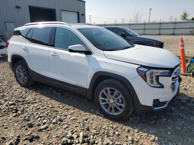 Vin: 3gkalveg3rl243515, lot: 60231975, gmc terrain slt 20244