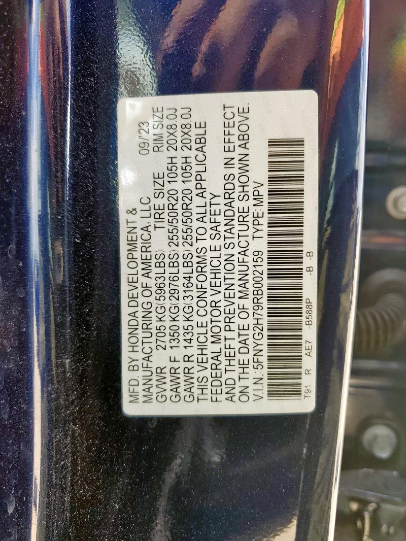 2024 HONDA PILOT TOUR - 5FNYG2H79RB002159