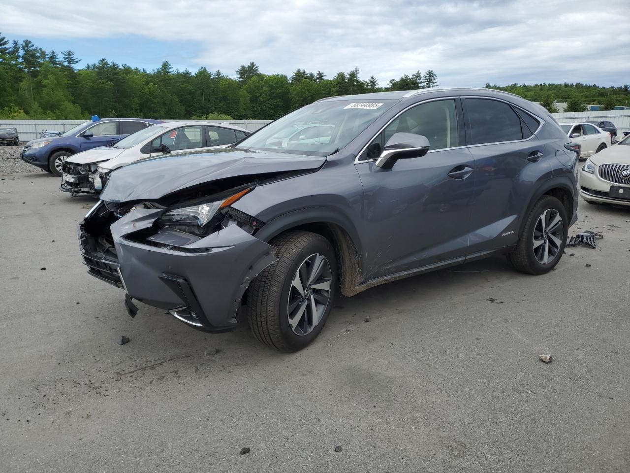LEXUS NX 300H