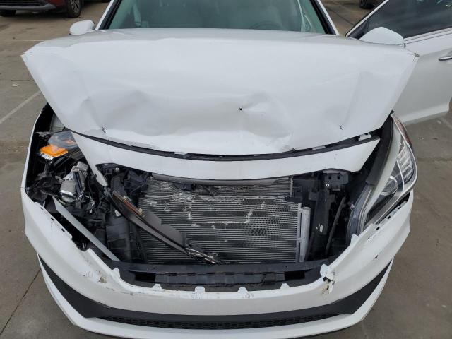 2016 HYUNDAI SONATA SPO 5NPE34AF4GH300113