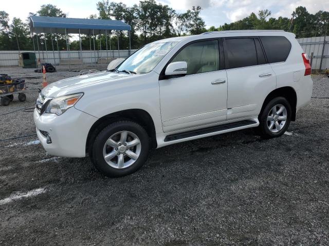 LEXUS GX 460