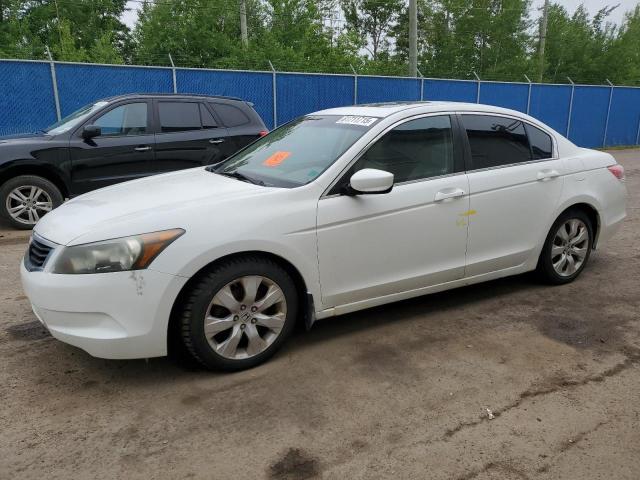 HONDA ACCORD EXL