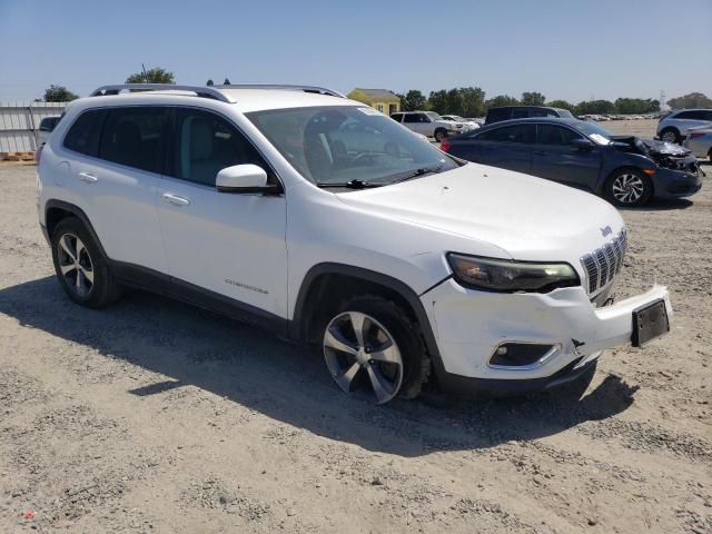 2019 JEEP CHEROKEE L 1C4PJLDB0KD488516