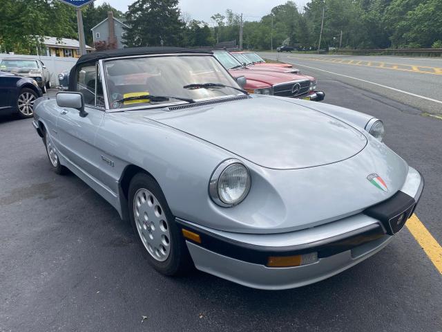 Vin: zarba5566h105xxx, lot: 63038355, alfa romeo spider quadrifoglio 1987 img_1