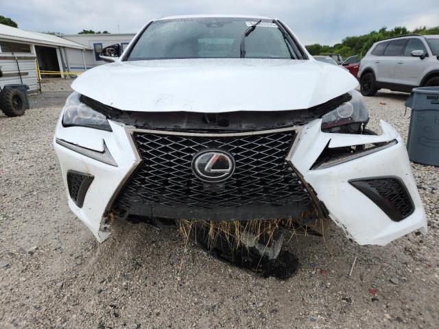 2019 LEXUS NX 300 BAS JTJYARBZ1K2135279