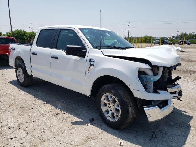 Vin: 1ftfw1e89pfb71379, lot: 60231885, ford f-150 supercrew 20234