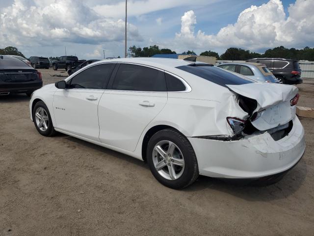 2019 CHEVROLET MALIBU LS 1G1ZB5ST7KF121851