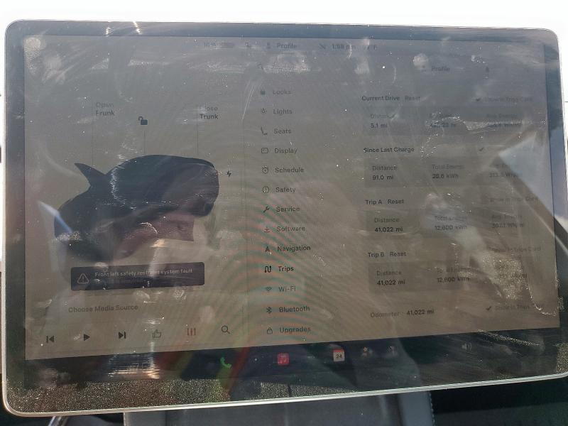 2023 TESLA MODEL Y 7SAYGDEF8PF866434
