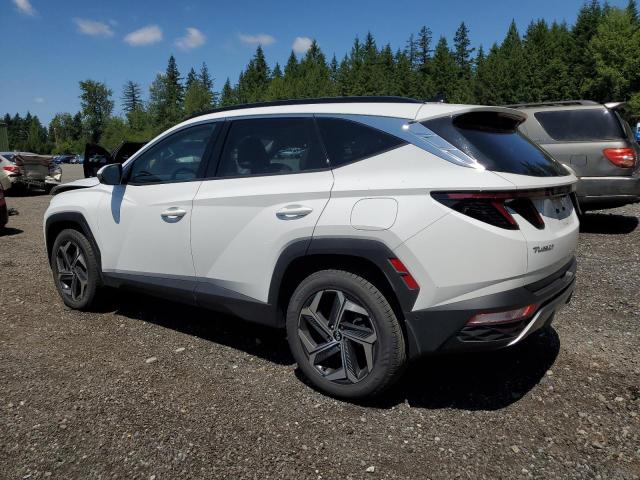 Vin: 5nmjecaexph289593, lot: 57683195, hyundai tucson limited 20232