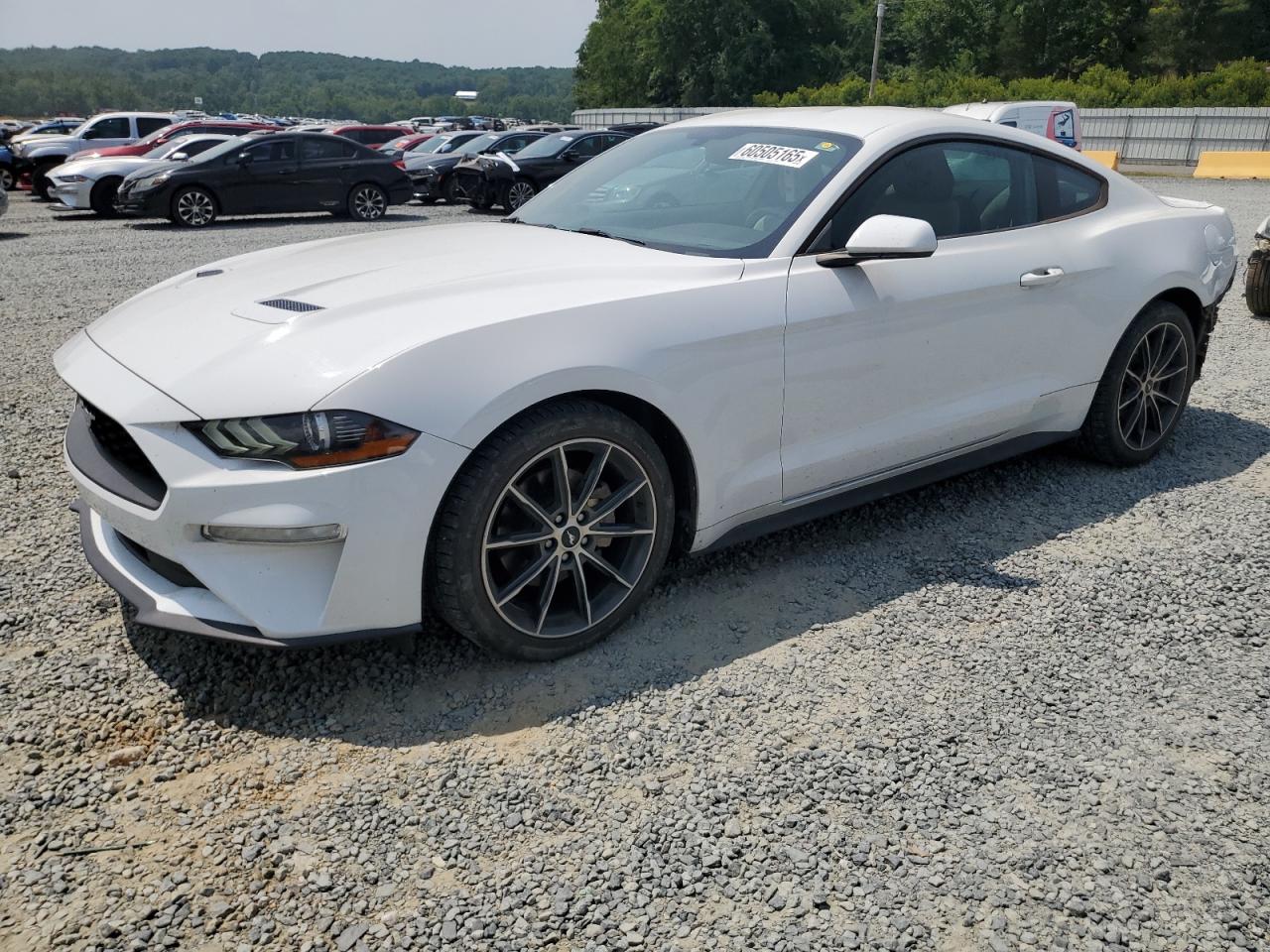 FORD MUSTANG