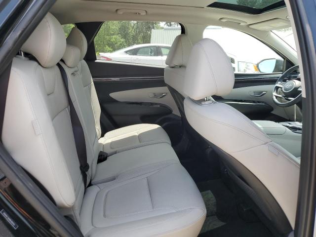 2024 HYUNDAI TUCSON LIM 5NMJECDE8RH304123