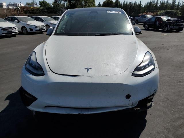 2021 TESLA MODEL Y 5YJYGDEE1MF265155