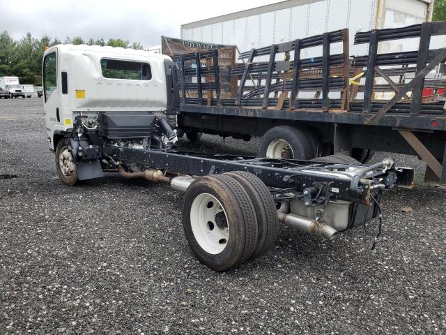ISUZU NRR 2025 white  convertible to gaseous powered 54DE5W1D5SSR01170 photo #4