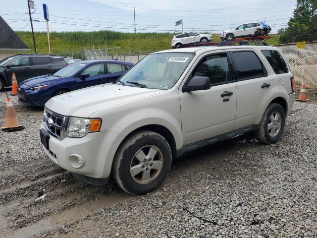 FORD ESCAPE XLT