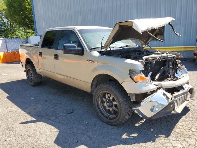 2010 FORD F150 SUPER - 1FTFW1EV6AFB53385
