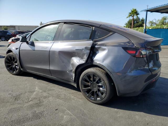 2023 TESLA MODEL Y 7SAYGDEE9PF928964